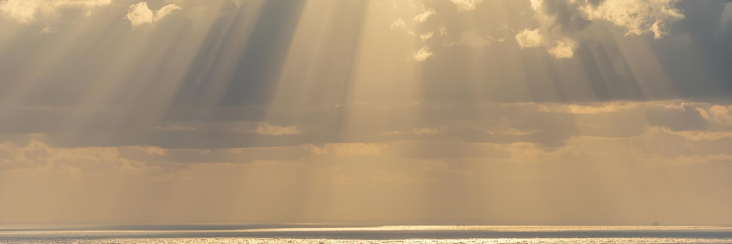 よりそいラボヘッダー画像